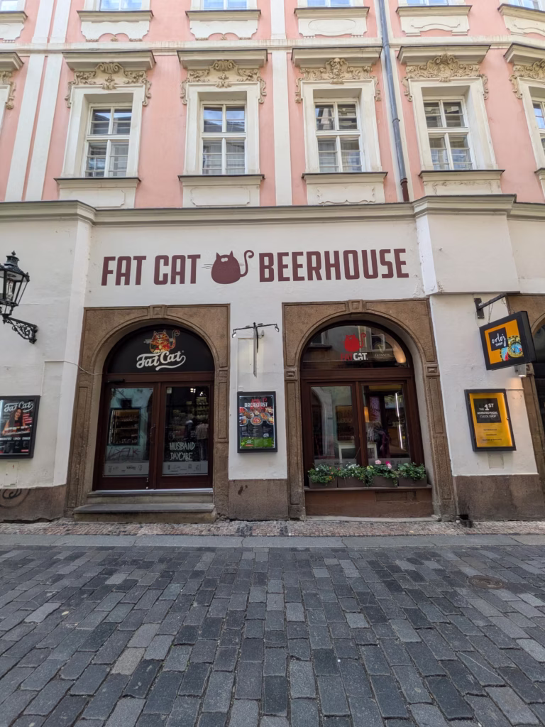 FAT CAT OLD TOWN
