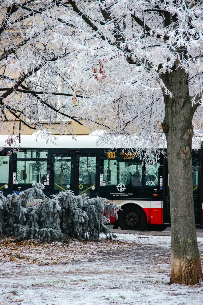 Prague Buses passing through snowy Prague streets during winter with frozen trees and public transport scenery.