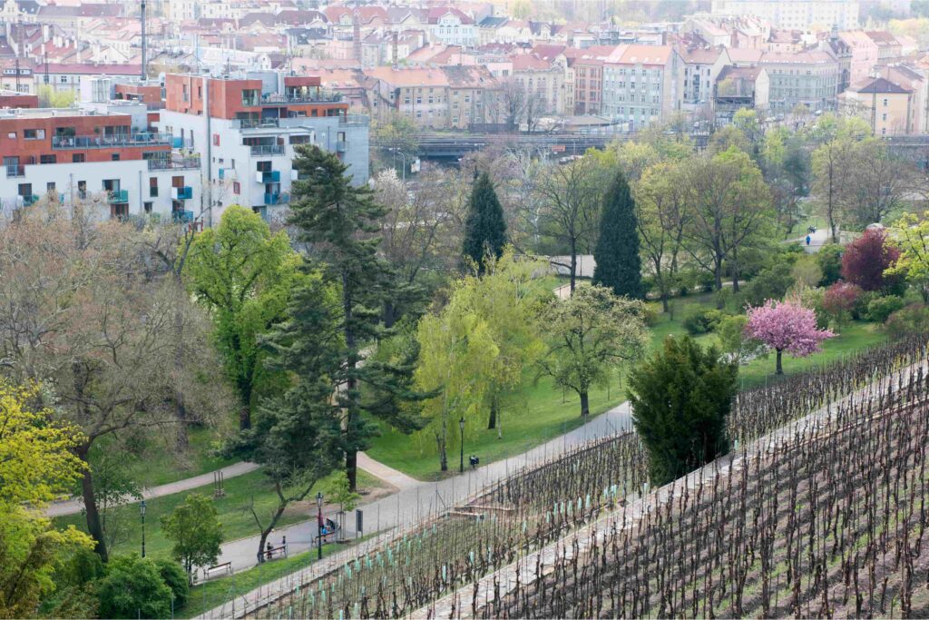 Historic vineyard and walking paths in Havlíčkovy Sady (Grébovka), one of Prague's most beautiful parks, with views across the city