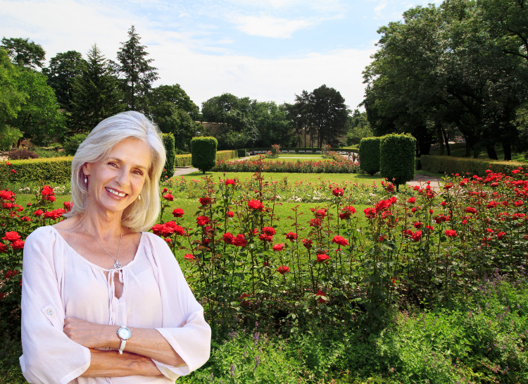 Prague Parks: blooming roses in Petřín Gardens, one of the city's most beautiful parks and gardens