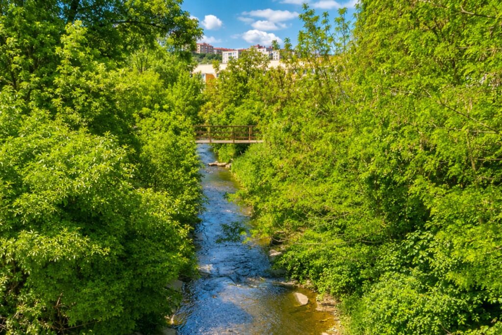 Botič River flowing through a green landscape in Prague, one of the city’s Prague rivers
