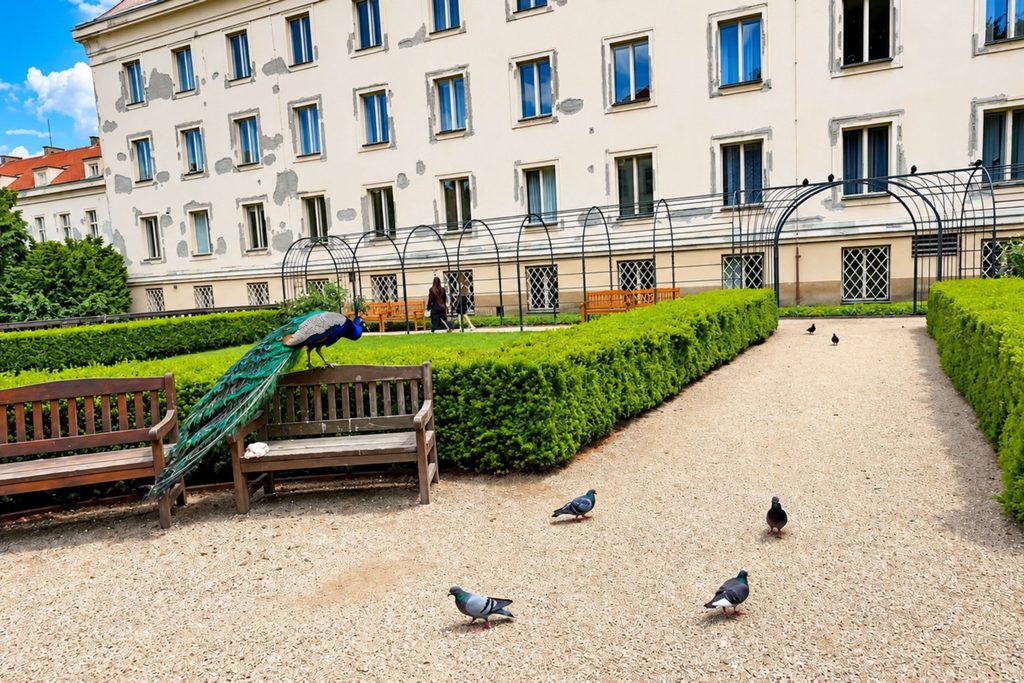 Fun things to do in Prague featuring outdoor adventure activities in the city's parks and green spaces